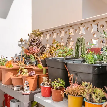 וילה Renovated In Americas Sea Coast פלאייה דה לאס אמריקס